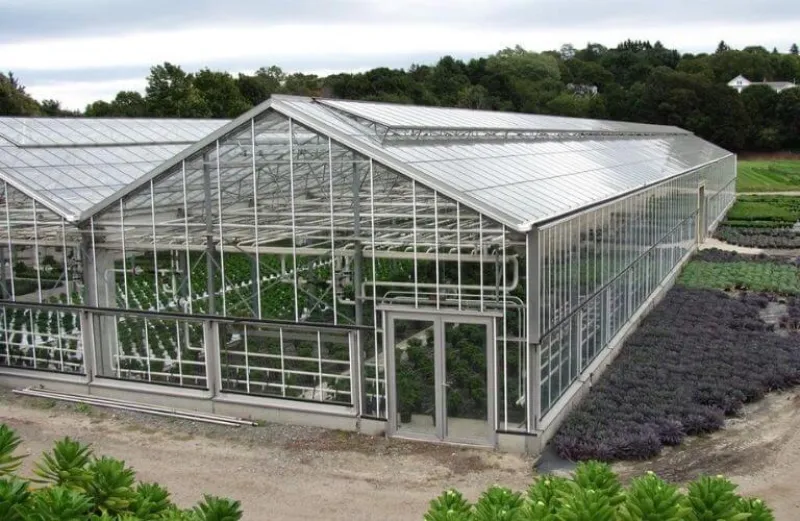 Tấm Nhựa Polycarbonate Là Gì? Toàn Tập Từ A-Z Cho Người Mới Bắt Đầu! 7 Trong nông nghiệp