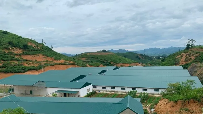 Tôn Nhựa ASA – Cẩm Nang Toàn Tập: Cấu Tạo, Loại, Giá & Chọn Loại Phù Hợp 2025 7 Trang trại chăn nuôi