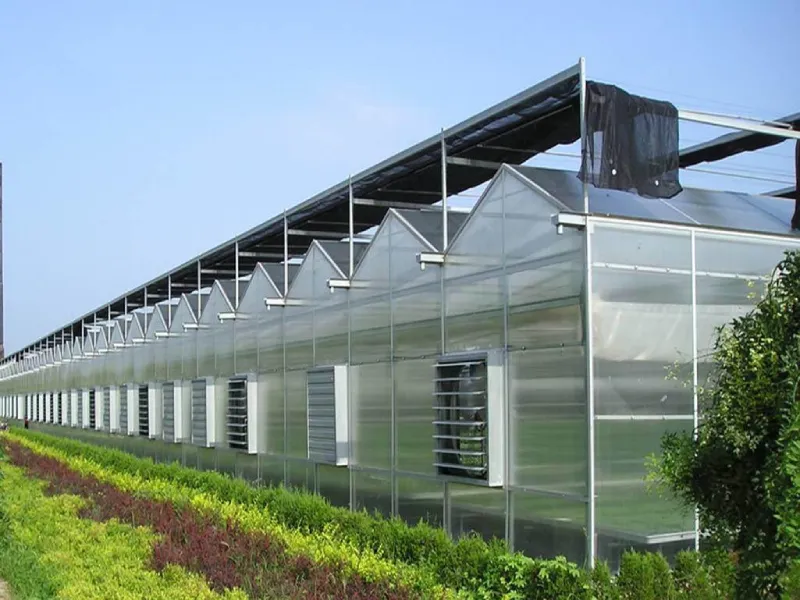 Tấm Nhựa Thông Minh Ở Hà Nội: Báo Giá, Phân Loại & Gợi Ý Địa Chỉ Mua Uy Tín 7 Nhà kính nông nghiệp ngoại thành Hà Nội