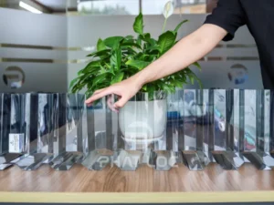 Tấm Nhựa Lấy Sáng Polycarbonate Màu Xám Khói (Dạng Sóng) – NEWLIGHT